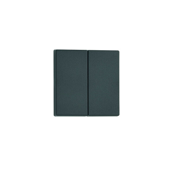 FAWO Flächen-Doppelwippe für Serienschalter Farbe schwarz